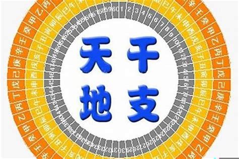 八字金水旺